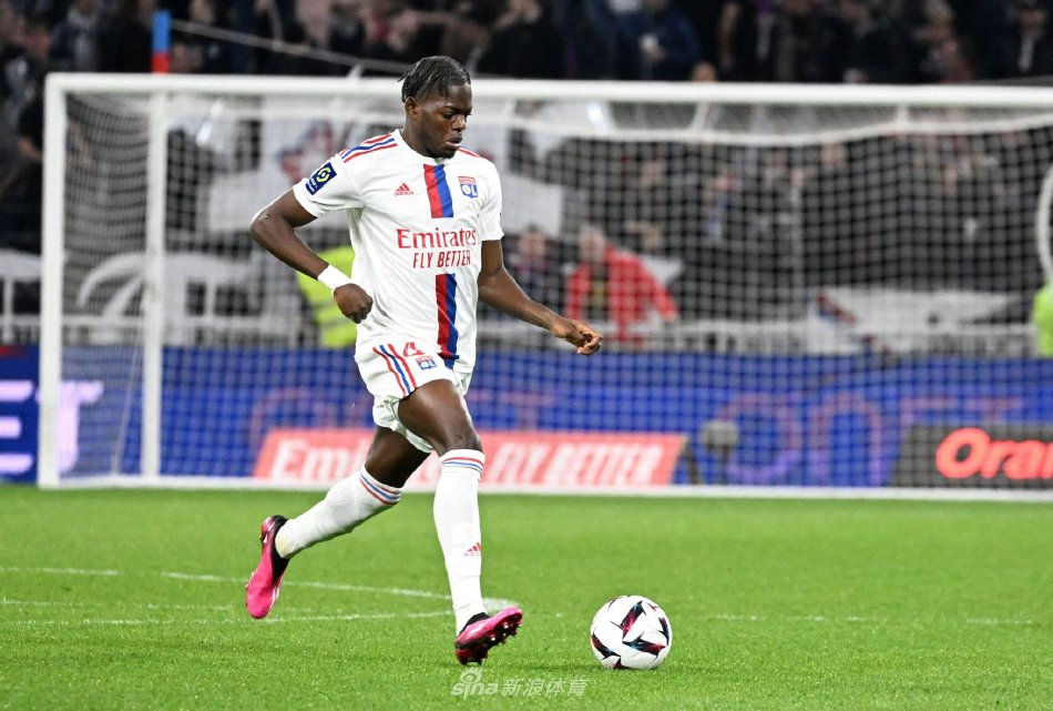 但他们稳固 但他们稳固